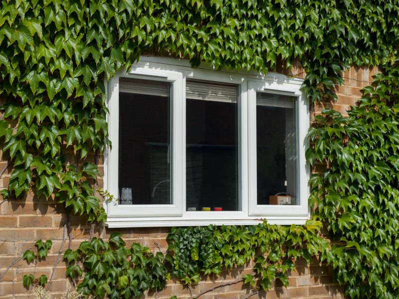What Is The Right Window Type For My Home?
